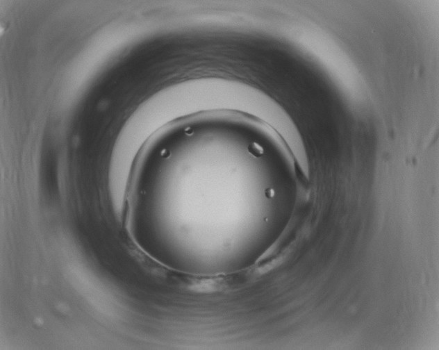 X0000083600382200702231753