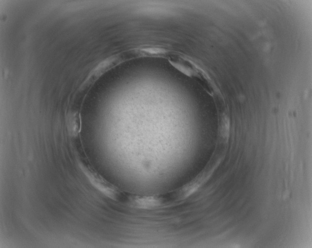 X0000083600383200702231753