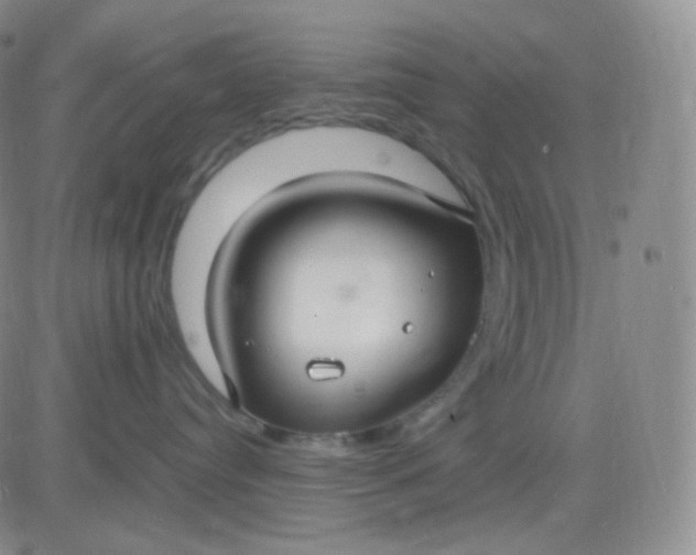 X0000083600384200702231753