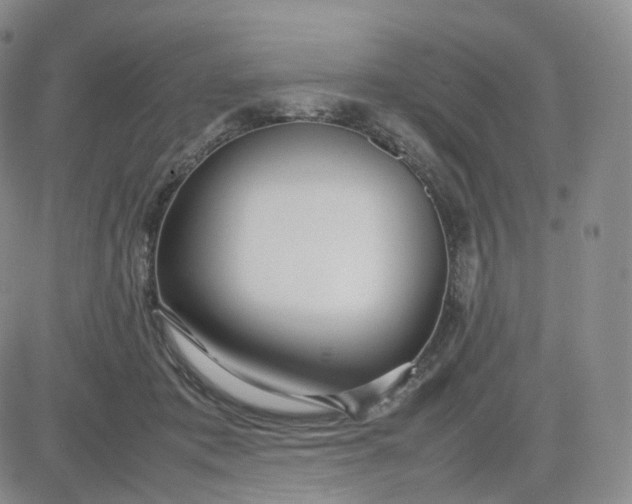 X0000083600413200702231751