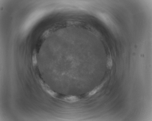 X0000083600431200702231751