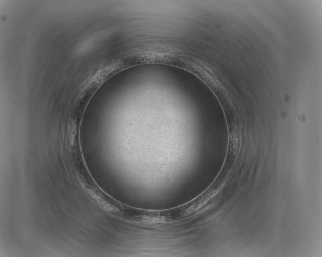 X0000083600458200702231751