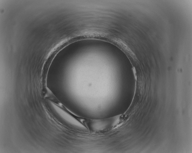 X0000083600488200702231750