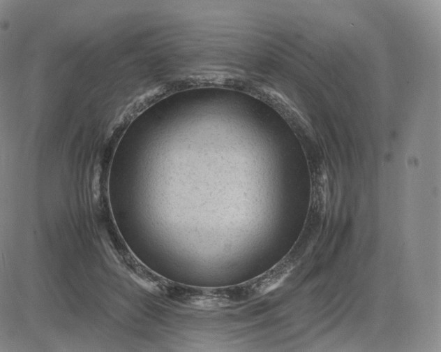 X0000083600504200702231750