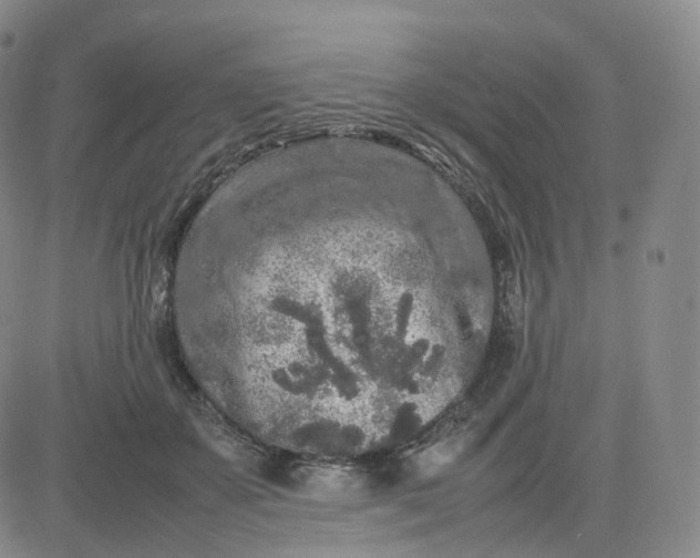 X0000083600507200702231750