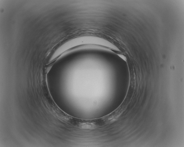 X0000083600508200702231750