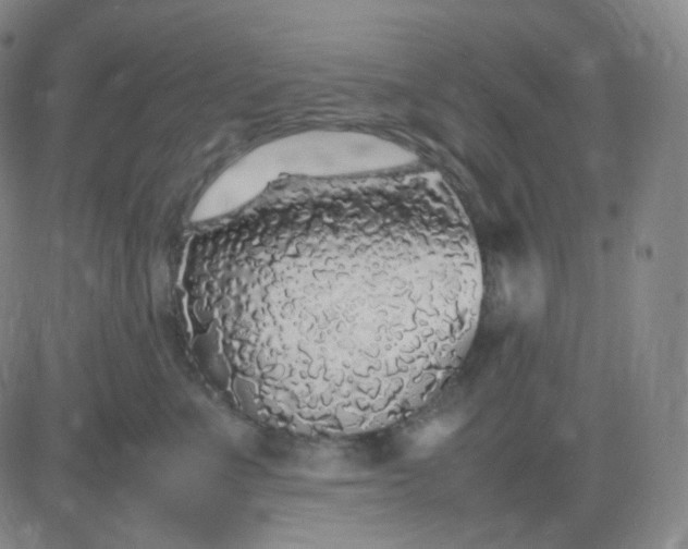 X0000083600523200702231750