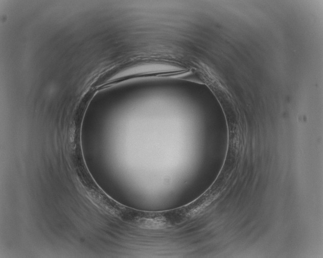 X0000083600548200702231749