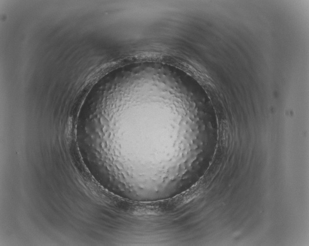 X0000083600550200702231749