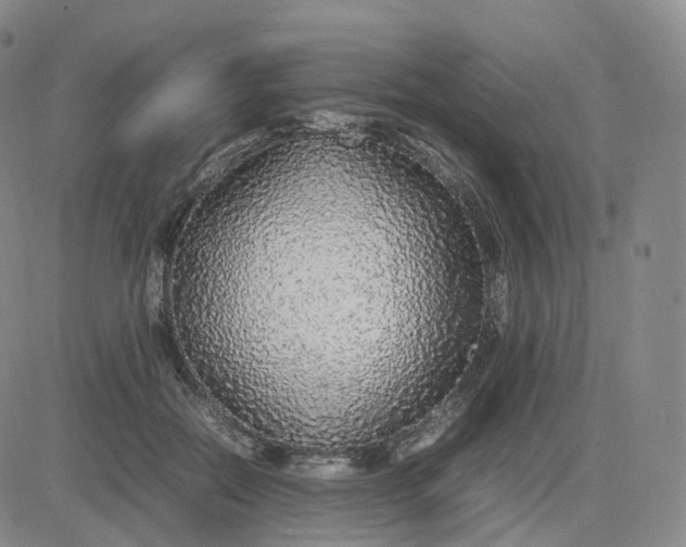 X0000083600554200702231749