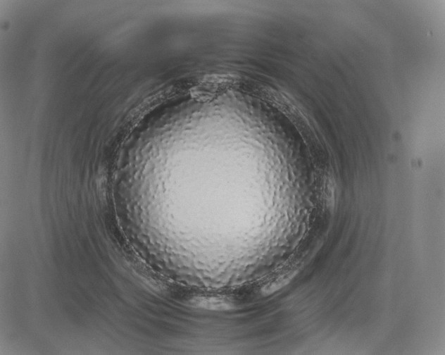 X0000083600557200702231749