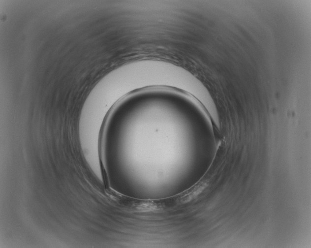 X0000083600562200702231749