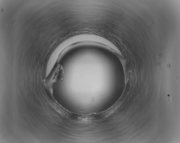 X0000083600564200702231749
