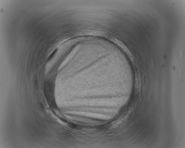 X0000083600577200702231749