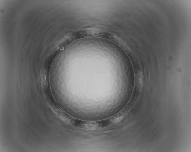 X0000083600615200702231748