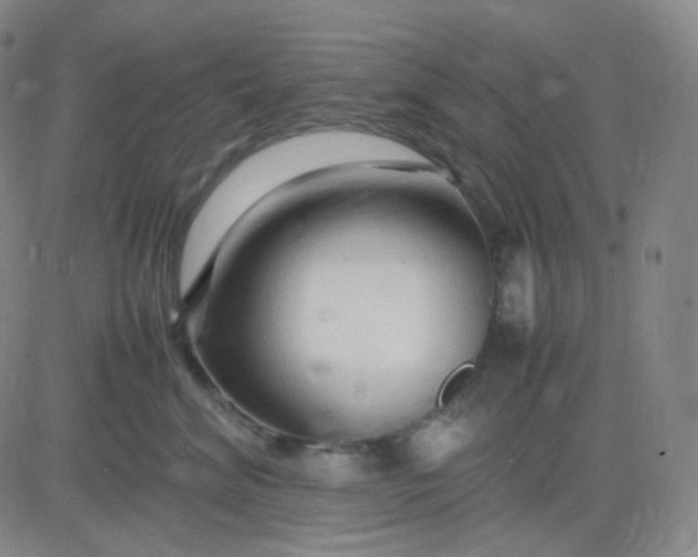 X0000083600620200702231748