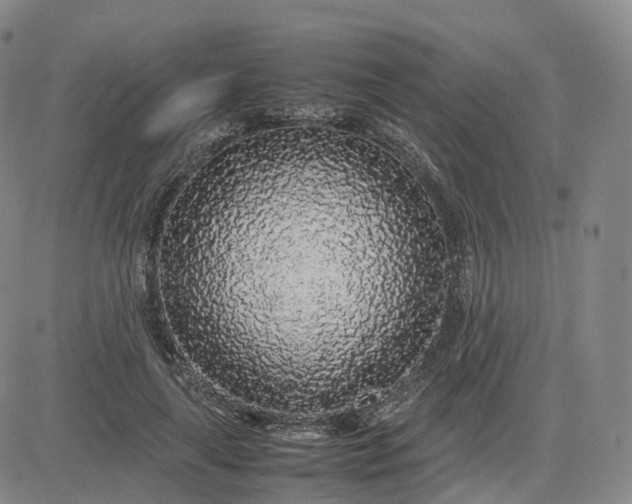 X0000083600643200702231747