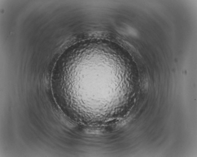 X0000083600661200702231748