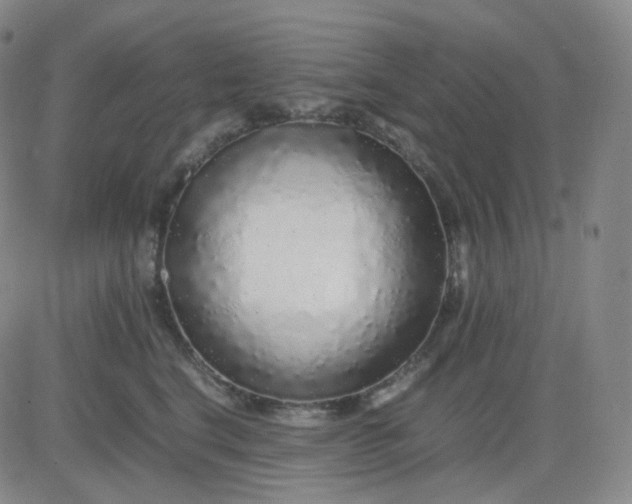 X0000083600664200702231748