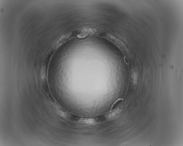 X0000083600665200702231748
