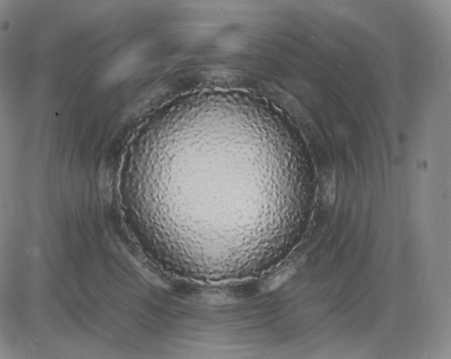 X0000083600666200702231748