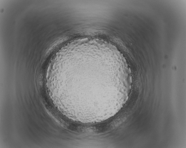 X0000083600683200702231747
