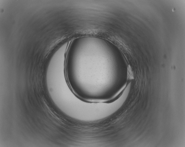 X0000083600692200702231747