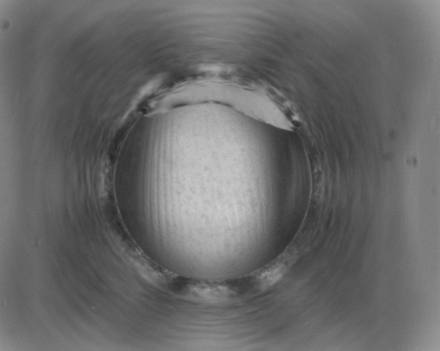 X0000083600712200702231746