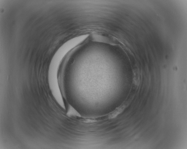 X0000083600718200702231746