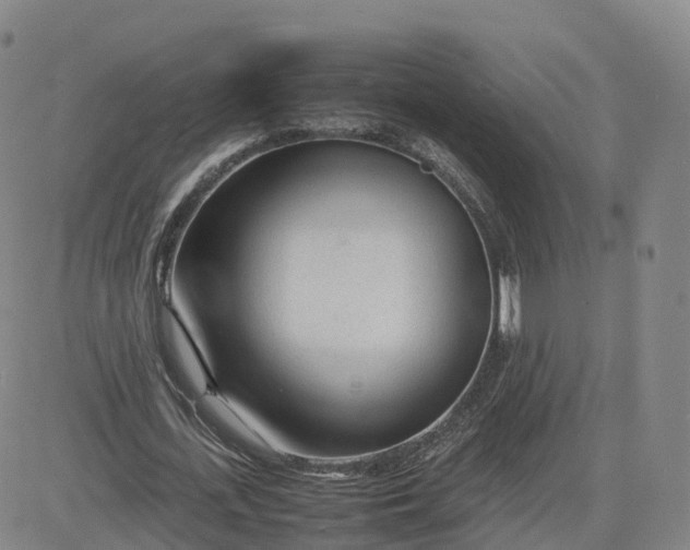 X0000083600723200702231745
