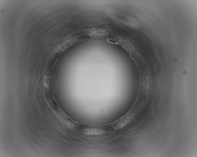 X0000083600755200702231746