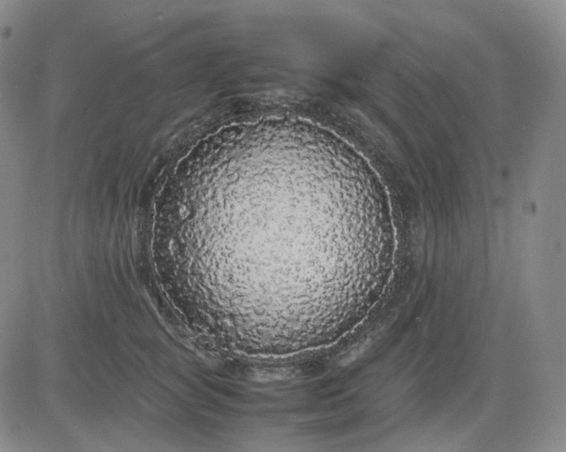 X0000083600757200702231746