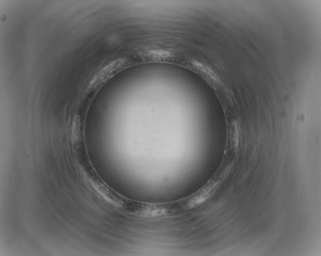 X0000083600760200702231746