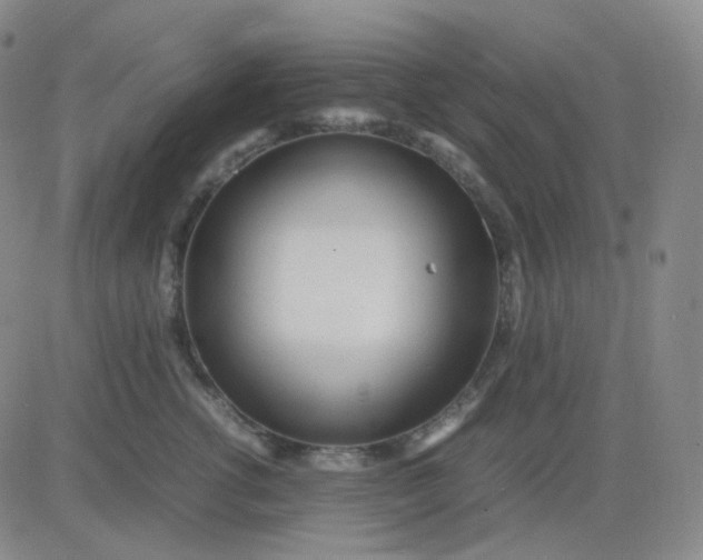 X0000083600762200702231746
