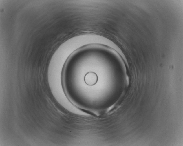 X0000083600764200702231746