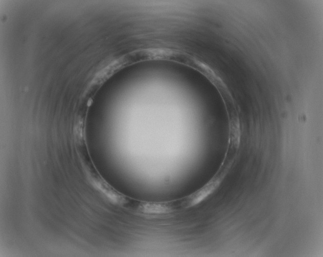 X0000083600766200702231746