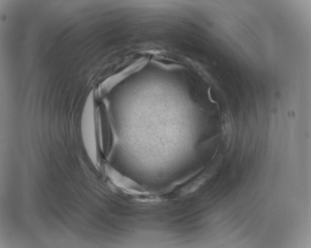 X0000083600767200702231746