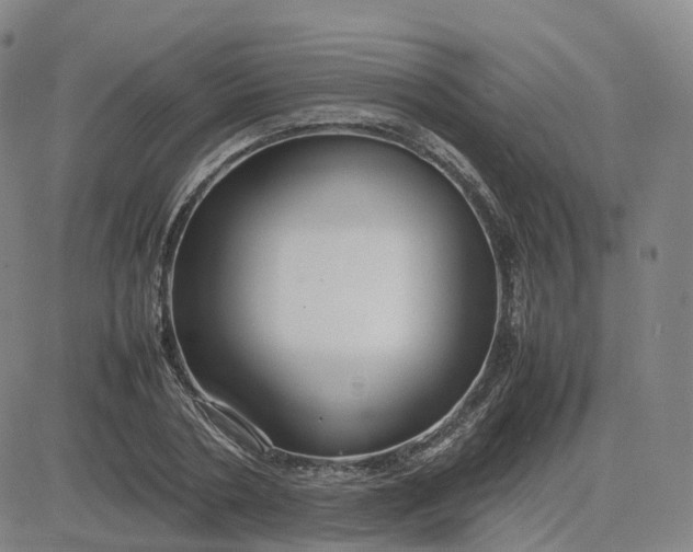 X0000083600786200702231745