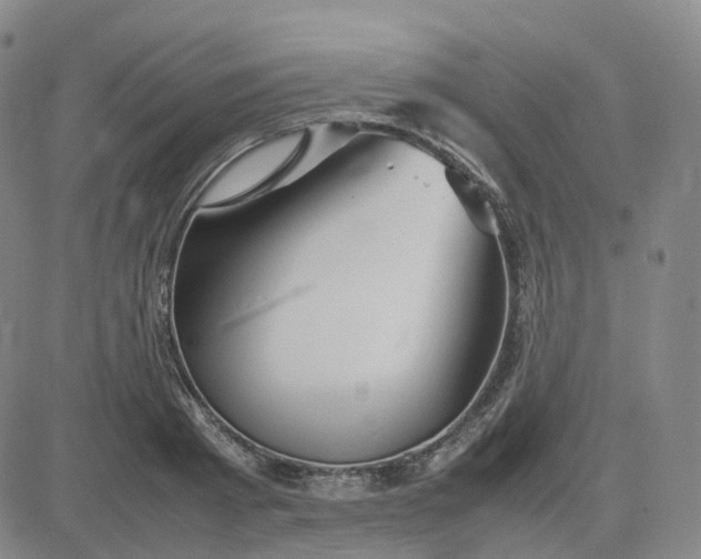 X0000083600793200702231745