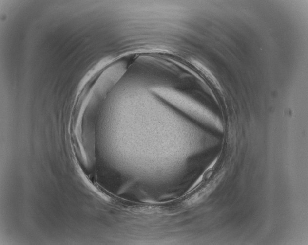 X0000083600797200702231745
