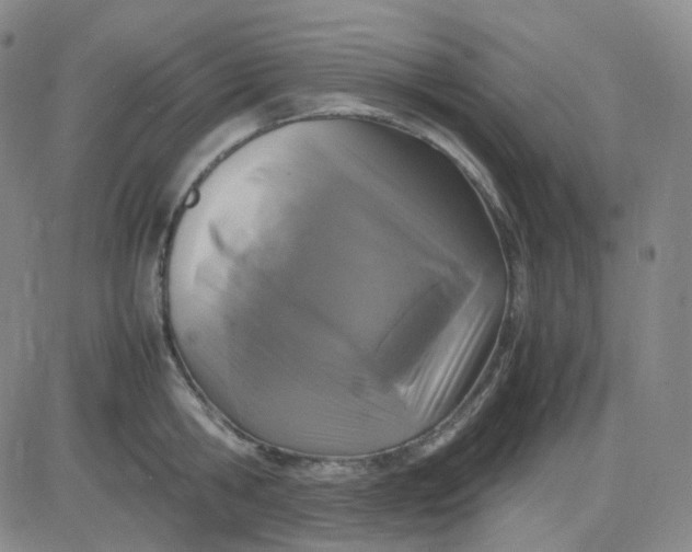X0000083600806200702231745
