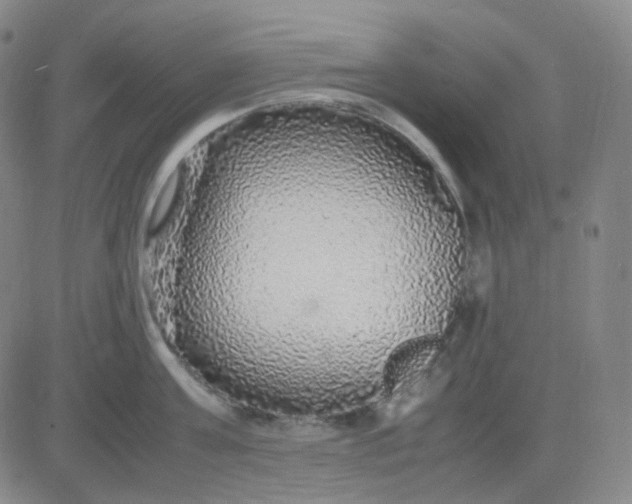 X0000083600811200702231745