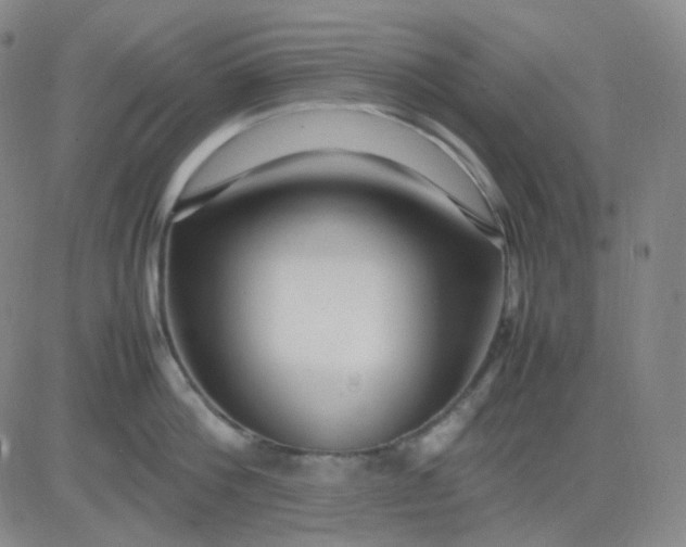 X0000083600812200702231745