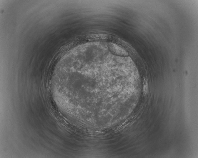 X0000083600819200702231744