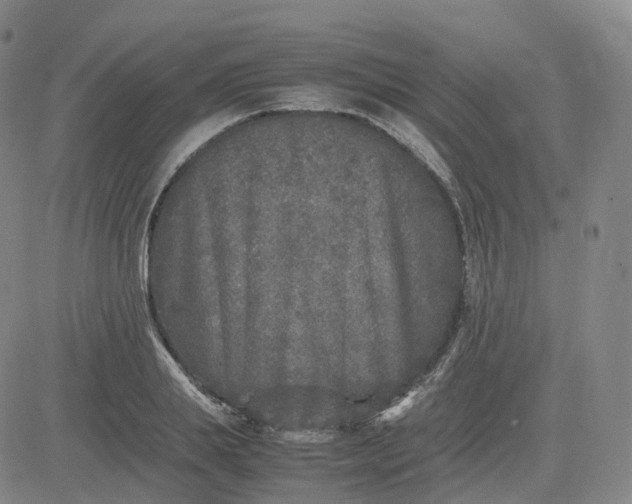 X0000083600839200702231744