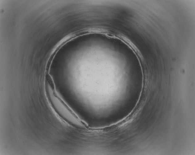 X0000083600853200702231744