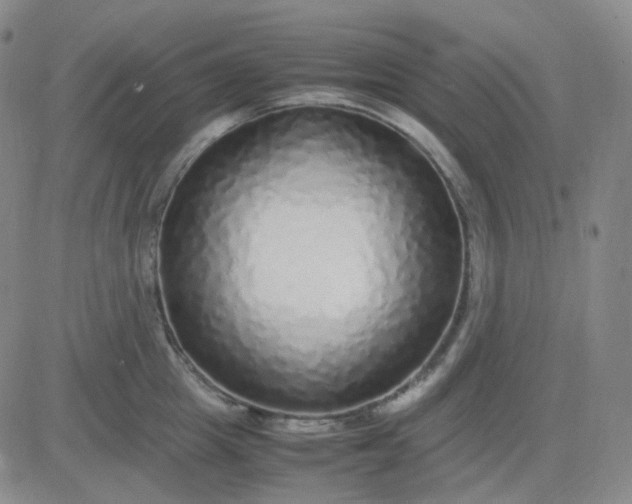X0000083600857200702231745