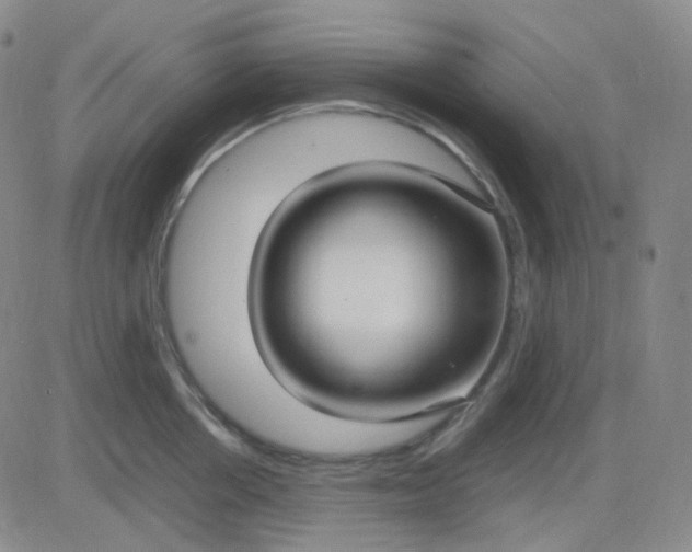 X0000083600858200702231745