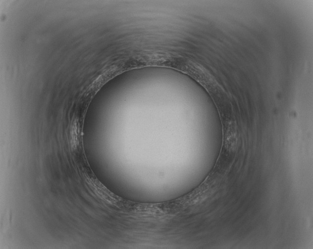 X0000083600866200702231744