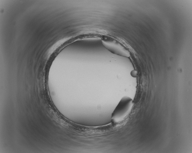 X0000083600877200702231744